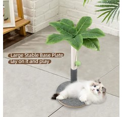 실내 고양이를 위한 33인치 높이의 긁는 포스트, 고양이 긁는 포스트, 대화형 매달린 공이 있는 고양이 나무, 사이잘삼 밧줄이 있는 큰 고양이 긁는 포스트, 실내 고양이를 위한 고양이 긁는 도구 꽃 고양이 나무