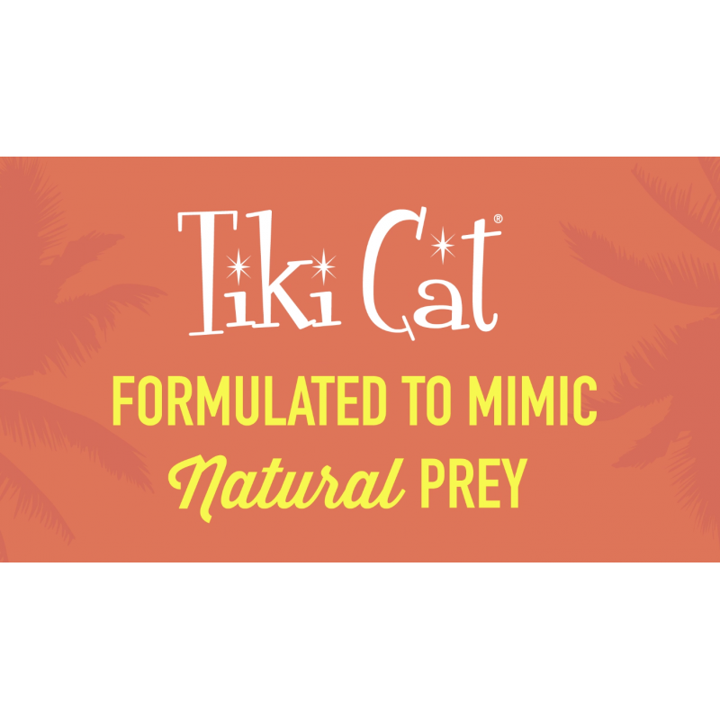 Tiki Cat Grill Pâté, 고등어 및 정어리, 고단백질 및 100% 비 GMO 성분, 모든 연령대를 위한 습식 잘게 다진 고양이 사료, 2.8 oz. 캔(12개입)