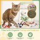 실내 고양이를 위한 Nobleza Catnip 장난감, 5 팩 귀여운 새끼 고양이 젖니가 남 씹는 장난감, 주름진 종이와 유기 개박하가 포함된 봉제 물린 방지 고양이 장난감, 지루한 고양이를 위한 동물 모양 키티 장난감