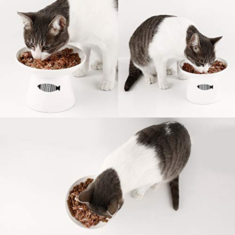 양바가 고양이 기른 큰 고양이를 위한 먹이/물 그릇, 미끄럼 방지 4.8x6.4인치 스탠드가 있는 프리미엄 세라믹 고양이 그릇, 튼튼하고 넘어짐 방지… (흰색)