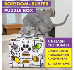 고양이 놀라운 슬라이더 – 실내 고양이를 위한 퍼즐 장난감 – 간식 상자 대화형 미로 – 강화 공급기 – 역대 최고의 고양이 장난감!