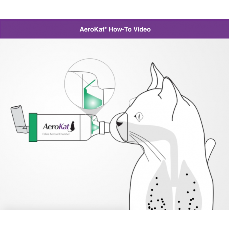 독점적인 FLOW-VU* 표시기가 있는 고양이용 오리지널 AEROKAT* 고양이 에어로졸 챔버 흡입기 스페이서