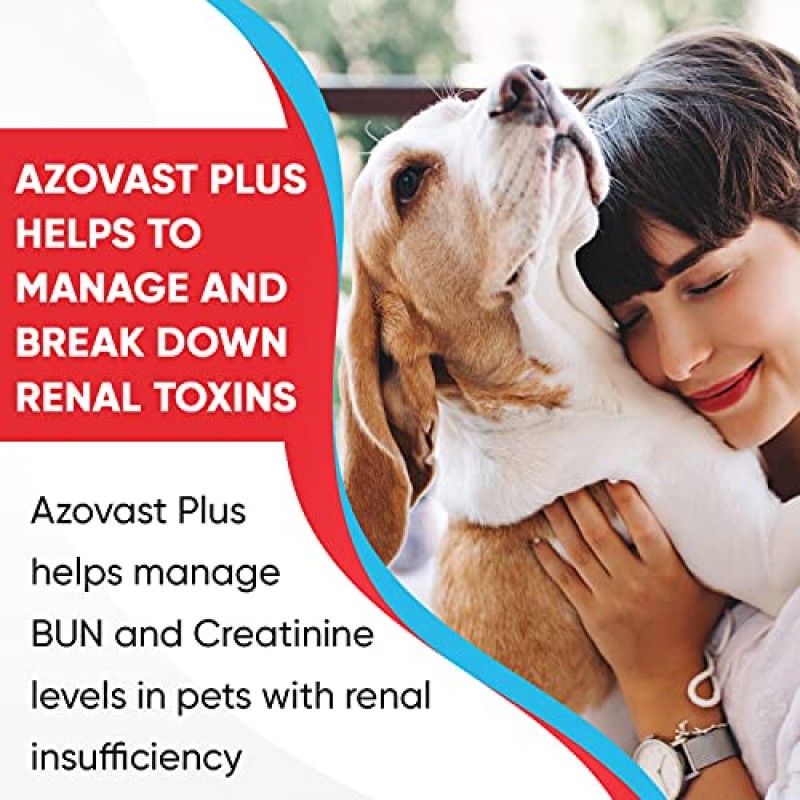 Azovast Plus 개와 고양이용 신장 건강 보조제, 240ct - 냉장 보관 불필요 - 신장 기능 지원 및 신장 독소 관리에 도움 - 신장 관리 보조제 캡슐(미국)(240정)