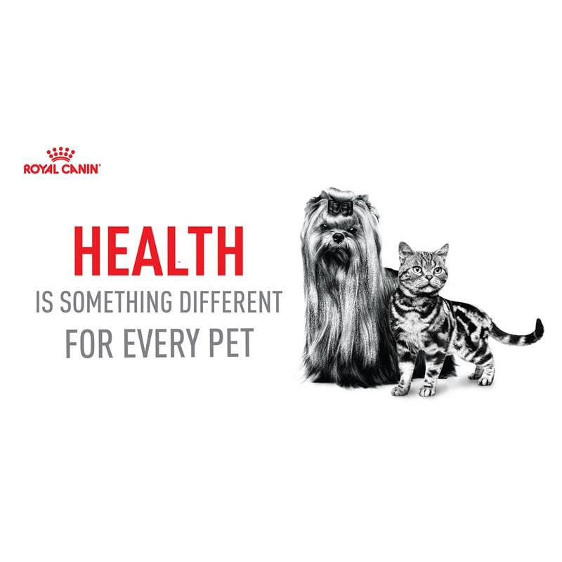 Royal Canin Feline Health Nutrition Instinctive 7+ 얇은 조각 그레이비 통조림 고양이 사료, 3온스 캔