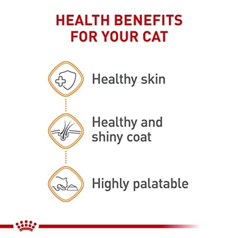 Royal Canin Feline Care Nutrition 헤어 & 스킨 케어 얇은 조각 그레이비 통조림 고양이 사료, 3온스 캔 24개입