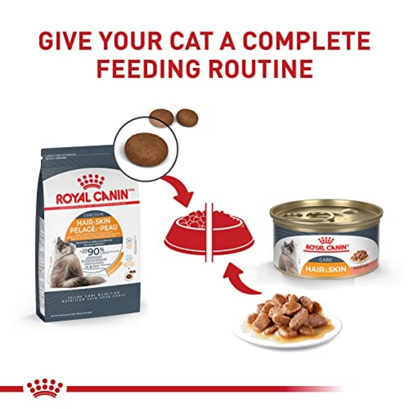 Royal Canin Feline Care Nutrition 헤어 & 스킨 케어 얇은 조각 그레이비 통조림 고양이 사료, 3온스 캔 24개입