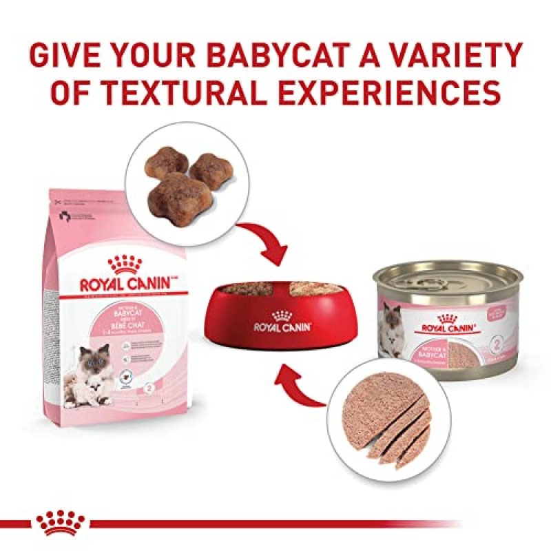 Royal Canin 고양이 건강 영양 Mother & Babycat 소스에 들어있는 울트라 소프트 무스 통조림 고양이 사료, 5.1온스 캔