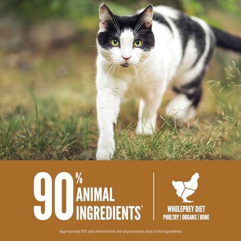 ORIJEN 오리지널 고양이, 모든 연령대를 위한 곡물 없는 건식 고양이 사료, 통 먹이 성분 포함, 12lb