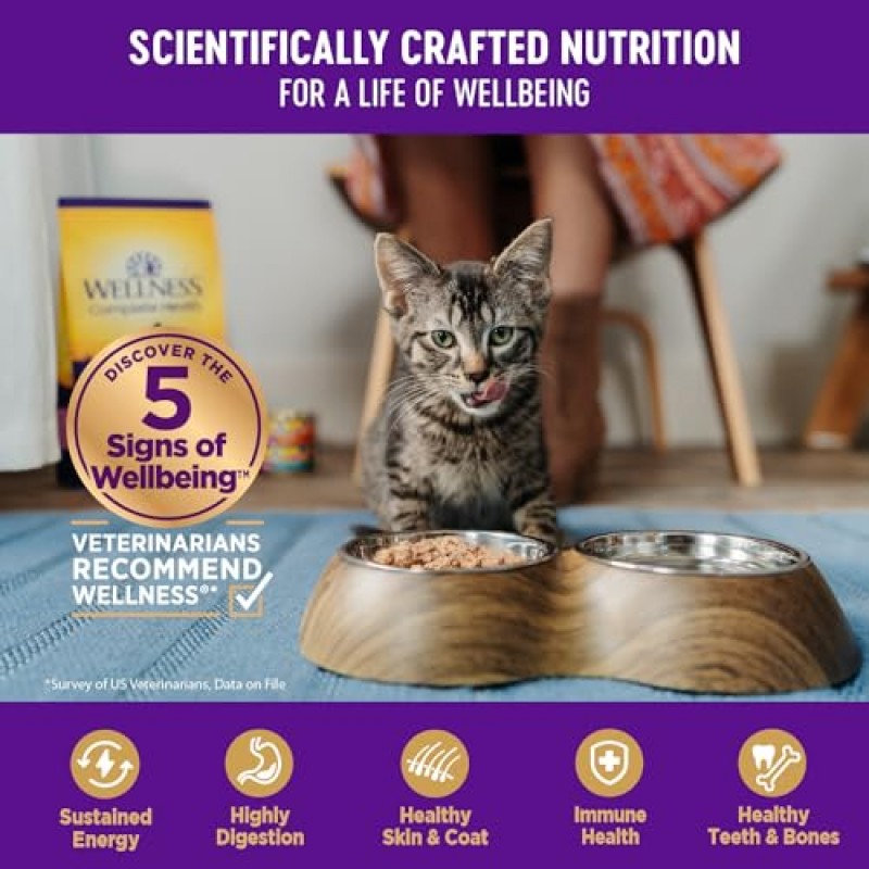 Wellness Complete Health 천연 곡물 무첨가 습식 통조림 고양이 사료, 얇게 썬 칠면조 및 연어 앙트레, 5.5온스 캔(24팩)