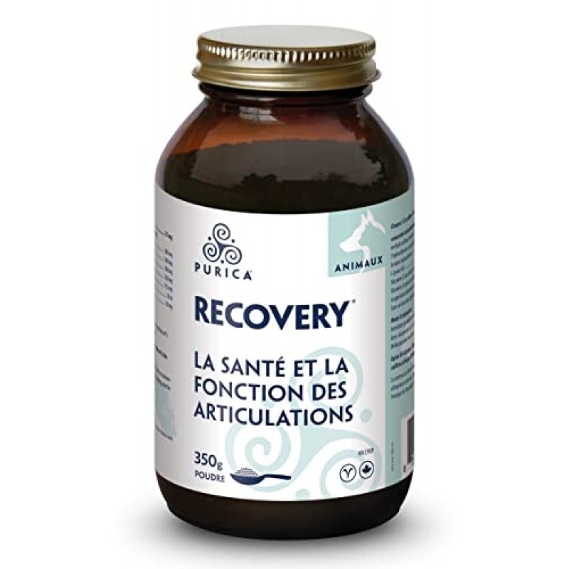 Biomedica Labs Recovery SA 파우더 350g