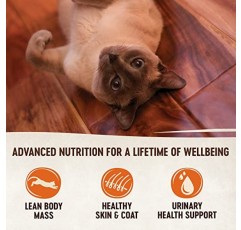 Wellness CORE 곡물 없는 습식 고양이 사료, 고양이를 위한 천연 통조림, 실제 고기로 만든 식품(실내용, 닭고기, 5.5온스 캔, 24개 팩)