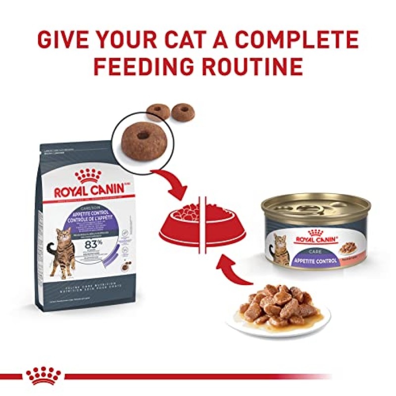 Royal Canin Feline Care Nutrition 식욕 조절 얇은 조각 그레이비 습식 고양이 사료, 3온스 캔(24팩)