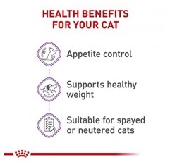 Royal Canin Feline Care Nutrition 식욕 조절 얇은 조각 그레이비 습식 고양이 사료, 3온스 캔(24팩)