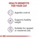 Royal Canin Feline Care Nutrition 식욕 조절 얇은 조각 그레이비 습식 고양이 사료, 3온스 캔(24팩)