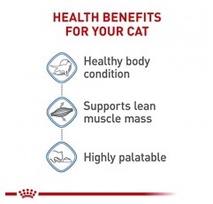 로얄캐닌 고양이 체중 관리 덩어리 소스 통조림 성인용 습식 고양이 사료, 5.1 온스 캔, 24개 케이스