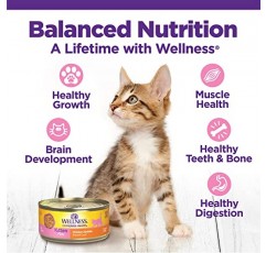 Wellness Complete Health 그레인 프리 건식 새끼 고양이 사료, 5.5파운드 백 + 습식 새끼 고양이 사료, 3온스 캔(24팩)