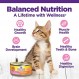 Wellness Complete Health 그레인 프리 건식 새끼 고양이 사료, 5.5파운드 백 + 습식 새끼 고양이 사료, 3온스 캔(24팩)