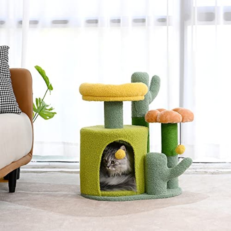 PET WONDERLAND 실내 고양이 활동을 위한 작은 고양이 콘도 긁는 포스트가 있는 나무 새끼 고양이를 위한 작은 고양이 나무 고양이 나무 타워 작은 고양이 침대 타워 귀여운 고양이 나무 꽃 고양이 긁는 포스트 선인장