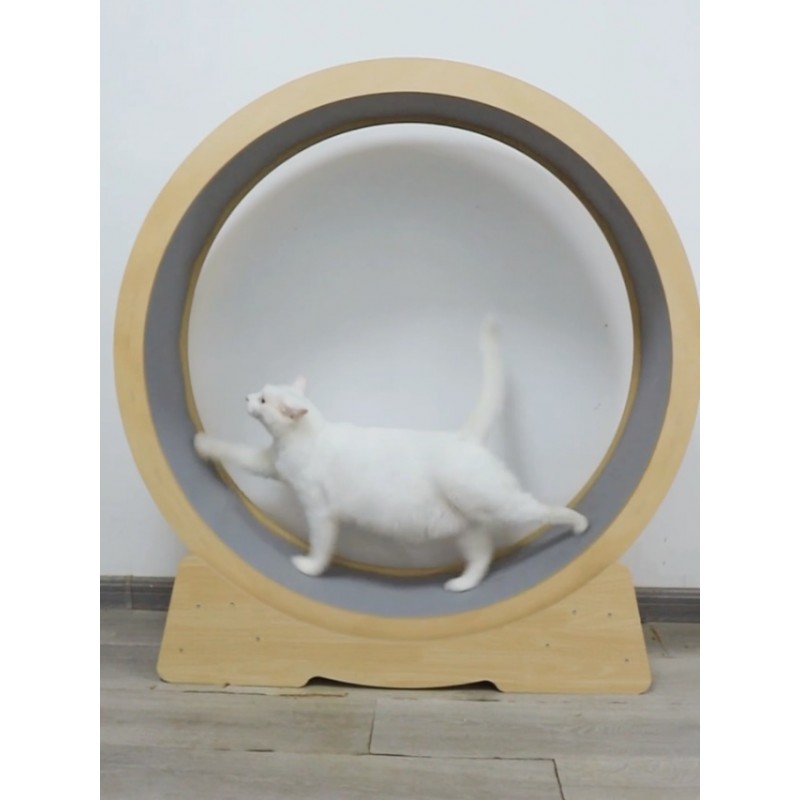 Lokshun 고양이 바퀴, 잠금 핀이 있는 고양이 운동 바퀴, 카펫이 깔린 활주로가 있는 뛰어난 체중 감량 고양이 바퀴, 무소음 롤러가 있는 대형 고양이 운동 바퀴, 42인치 대형, 고양이 티저 스틱 포함