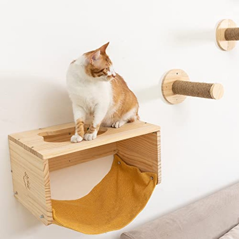 클라이밍 포스트 단계가 있는 고양이 벽 선반 및 농어, 현대적인 목재 벽걸이형 고양이 활동용 가구 실내 고양이 수면, 놀이 및 라운지 5개/세트