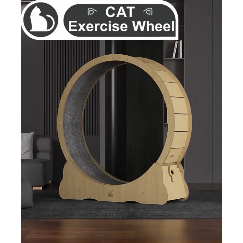 실내 고양이를 위한 고양이 운동 휠, 건강하고 신체적인 활동을 위한 고양이 러닝머신 휠, 고양이 피트니스를 위한 무소음 휠과 카펫이 깔린 런웨이가 있는 대형 고양이 런닝 휠 라이트 그린 컬러(XL)