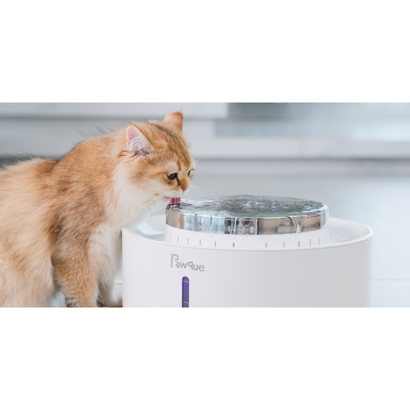 고양이 분수 272oz 2.1Gal 8L, 0.1um 하이퍼 필터가 포함된 Pawque 대형 개 물 디스펜서, 스테인레스 스틸 보울 및 무선 워터 펌프, 개 내부용 매우 조용한 분수, 멀티 애완동물