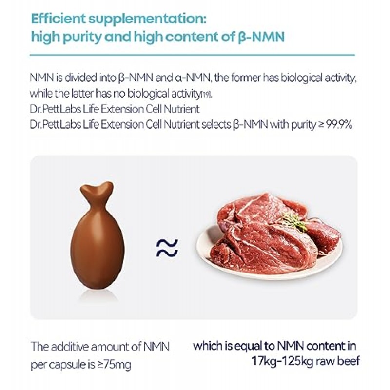 애완동물 수명 연장 세포 영양소 종합 버전 NMN