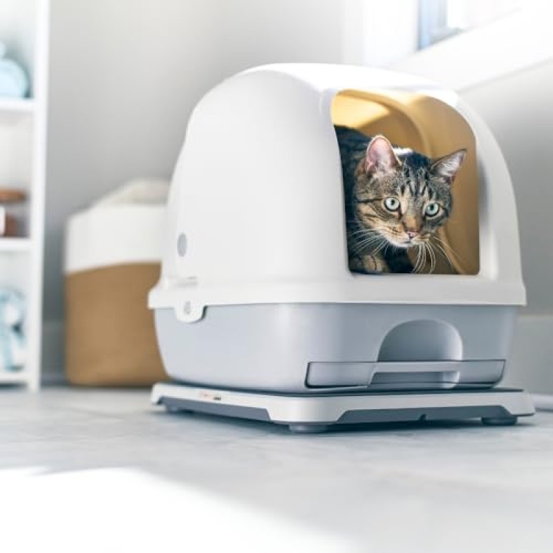 Purina 스마트 화장실 모니터 시스템으로 구동되는 Petivity - AI 기술로 건강, 체중 및 습관의 변화를 추적 - 고양이 주인에게 잠재적인 건강 상태에 대해 경고(Petivity 모니터 시스템)