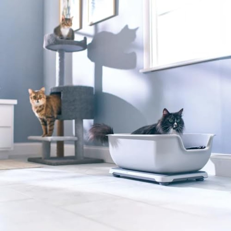 Purina 스마트 화장실 모니터 시스템으로 구동되는 Petivity - AI 기술로 건강, 체중 및 습관의 변화를 추적 - 고양이 주인에게 잠재적인 건강 상태에 대해 경고(Petivity 모니터 시스템)