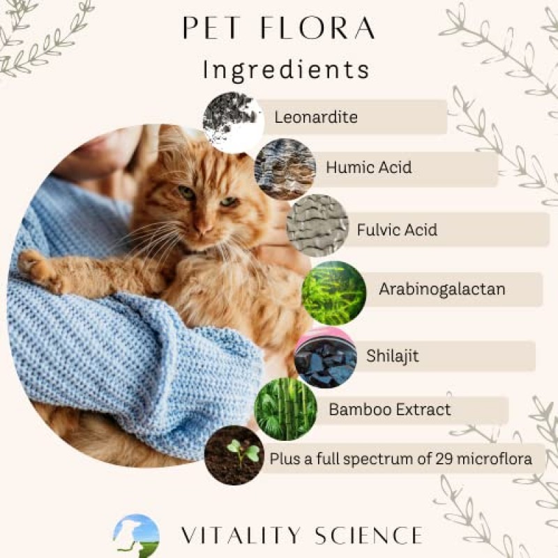 고양이와 개를 위한 Vitality Science Pet Probiotic | Pet Flora - 설사, 구토, 가스, 피부 질환에 좋습니다 - 무첨가(100정)