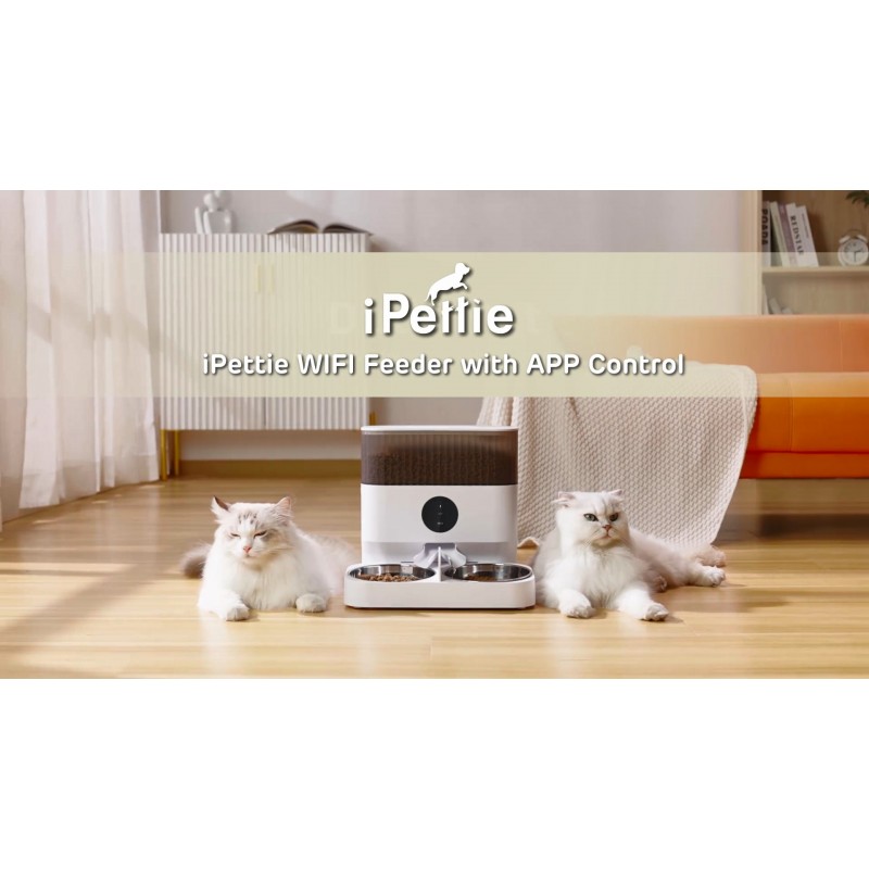iPettie 애완동물 2마리용 자동 WiFi 애완동물 급식기, 5L/21컵 용량, 하루 1-10끼 식사, 그릇 높이 조절 가능, 스테인레스 스틸 그릇 2개가 포함된 스마트 개 고양이 급식기, 음성 녹음, 2.4G WiFi 앱 제어