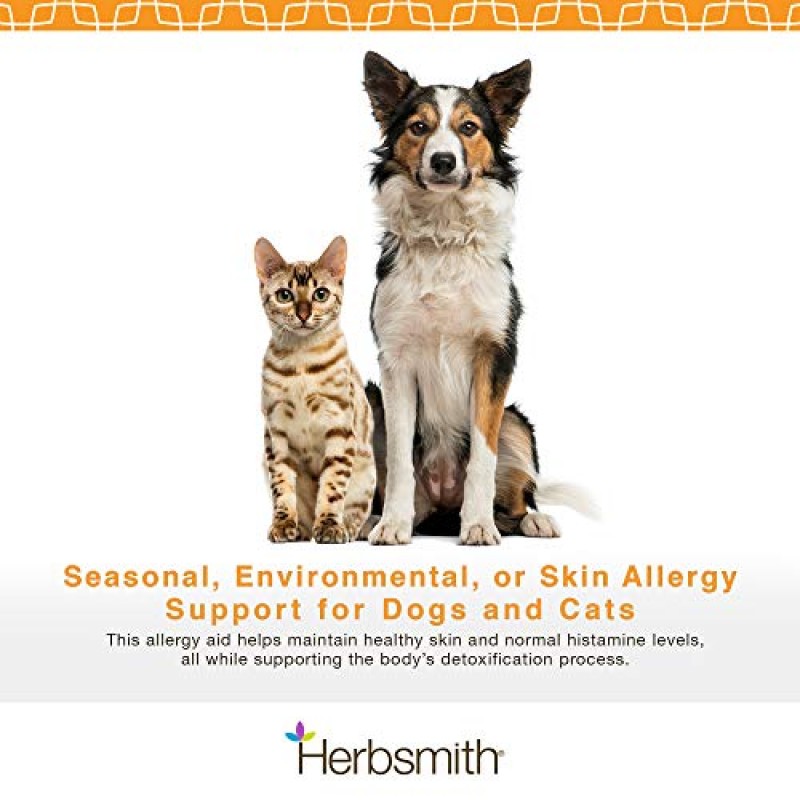Herbsmith Clear AllerQi – 고양이와 개를 위한 알레르기 보조제 – 애완동물 알레르기 지원 – 개와 고양이를 위한 가려움증 약 – 150g 분말