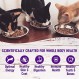 Wellness Natural Pet Food Wellness Complete Health 천연 곡물 무함유 습식 통조림 고양이 사료, 큐브형 칠면조 앙트레, 5.5온스 캔(24팩)