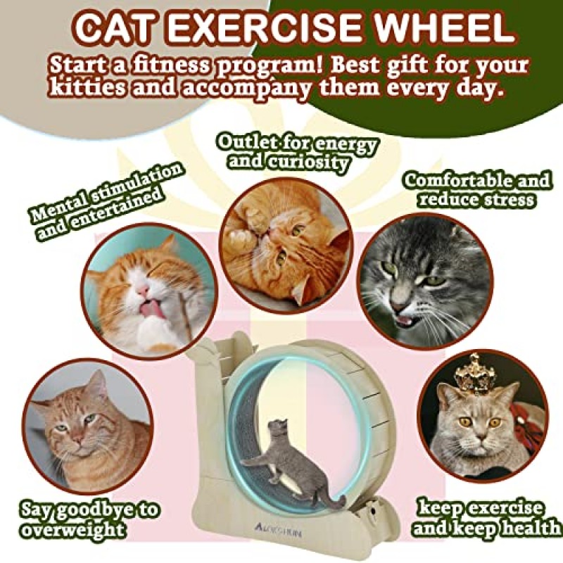 Lokshun 고양이 바퀴, 고양이 스크래쳐가 내장된 3-in-1 고양이 운동 휠, 실내 고양이를 위한 고양이 바퀴 운동기, 브레이크 정지 기능이 있는 천연 나무 고양이 런닝머신, 고양이 건강을 위한 체중 감량 고양이 런닝 휠