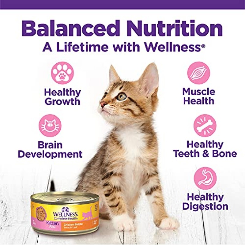 Wellness Complete Health 그레인 프리 치킨 앙트레 습식 새끼 고양이 사료, 천연 성분, 진짜 닭고기로 제작, 모든 품종(새끼 고양이, 치킨 페이트, 5.5온스, 24개 팩)