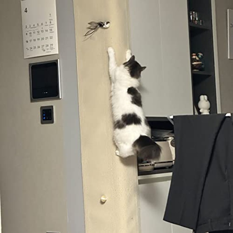 meowup 프리미엄 고양이 스크래치 카펫 고양이 긁기 패드 대형 와이드 78.7x13.7 인치 고양이 스크래치