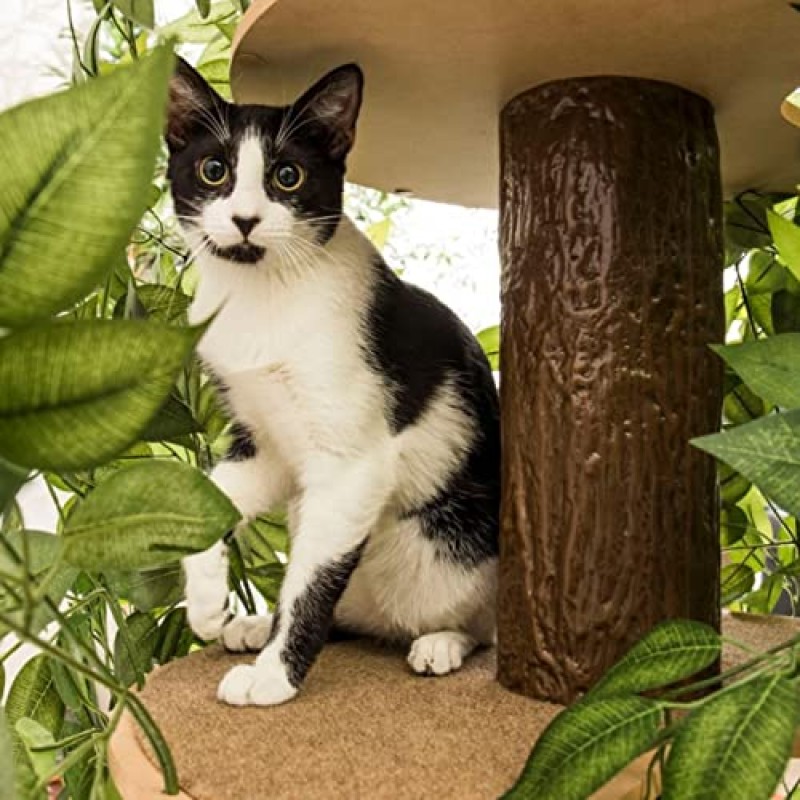 On2 Pets 미국산 잎이 달린 고양이 나무, 고양이 집 및 고양이 활동 트리, 실내 고양이를 위한 다단계 고양이 콘도