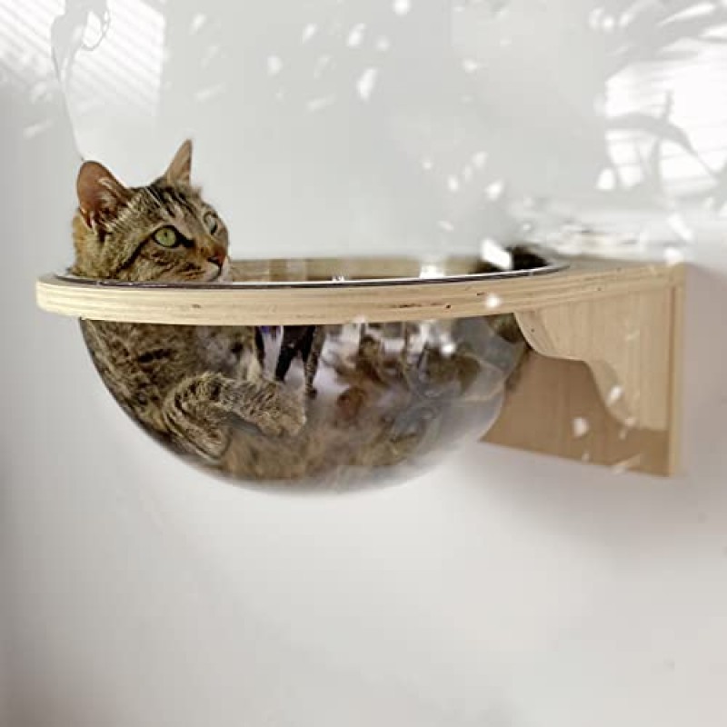 Felivecal X-Large 고양이 공간 캡슐 침대 2개 페달 Transparnt 고양이 집 세트 벽걸이형/나무 고양이 집/벽/고양이 가구/고양이 농어용 대형 고양이 침대