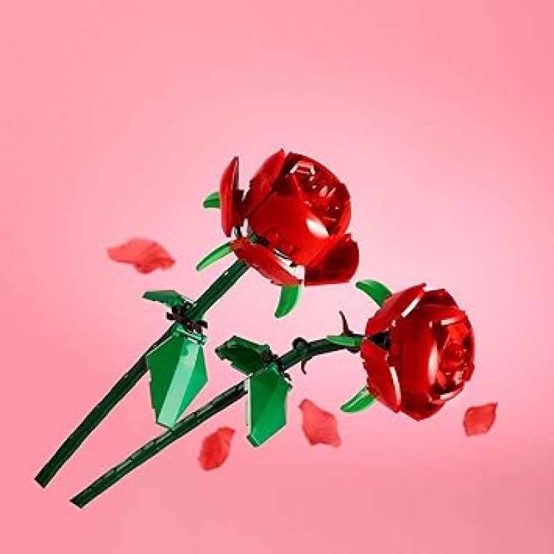 장미 조립 키트, 발렌타인 데이를 위한 독특한 선물, 식물 컬렉션, 함께 조립할 수 있는 선물