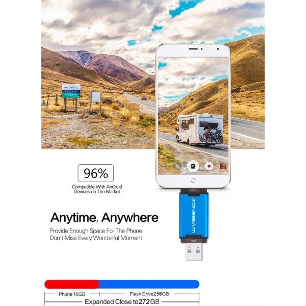 WANSENDA Type C USB C 플래시 드라이브 OTG USB 3.1 썸 드라이브(128GB, 블랙)