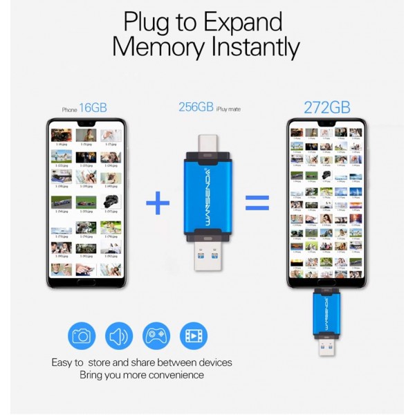 WANSENDA Type C USB C 플래시 드라이브 OTG USB 3.1 썸 드라이브(128GB, 블랙)