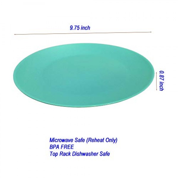 재사용 가능한 플라스틱 접시 10인치 - 주방 플랫 디너 접시 - 식기세척기 사용 가능 및 전자레인지용 접시 12개 세트 - 어린이용 실내 실외용 다채로운 접시 쌓기(BPA 없