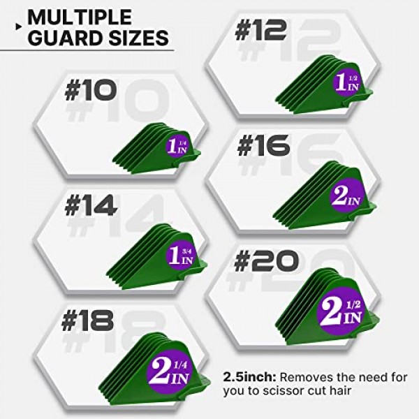 6개 전문 헤어 클리퍼 가드 커팅 가이드는 대부분의 Wahl 클리퍼에 적합합니다. 클리퍼, 빗 교체 - 1 & 1/4 ~ 2 & 1/2, 가드 번호: #20, 18, 16, 14, 12, 10 (녹색)
