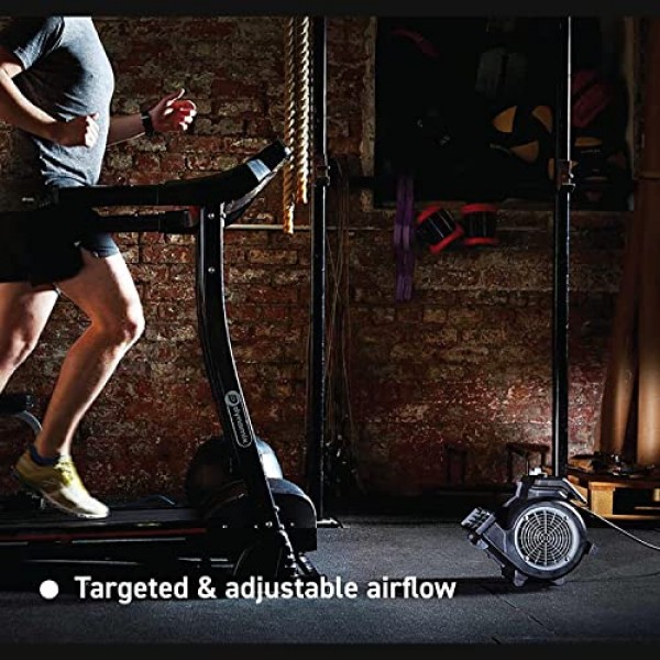 Vacmaster AM1202R Cardio54 체육관 바닥 팬(원격 제어 포함) 자전거 팬 무음 팬