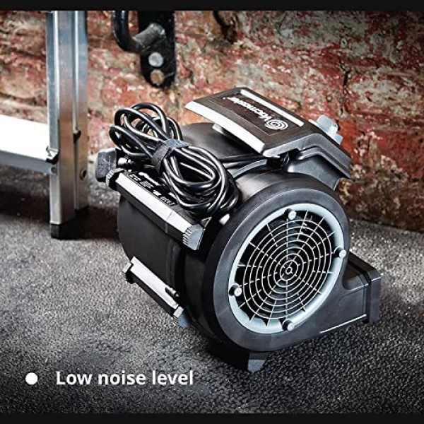 Vacmaster AM1202R Cardio54 체육관 바닥 팬(원격 제어 포함) 자전거 팬 무음 팬