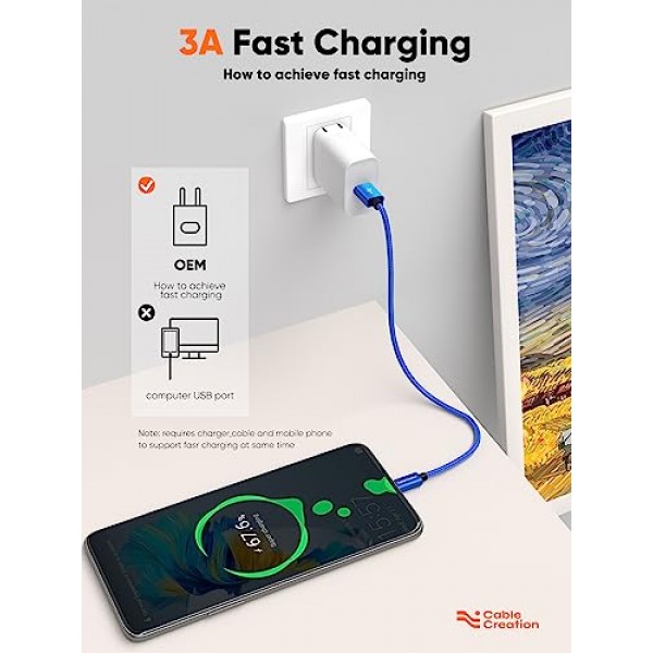 CableCreation 파란색 USB-USB C 케이블 1FT, USB A-USB C 케이블 3A 고속 충전 땋은 USB C 남성-USB 남성 케이블(전원 은행, Galaxy S23, iPad Pro iPad Mini S22 S21 Z 플립 등), 파란색