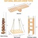 햄스터 gerbil 쥐를위한 씹기 장난감 친칠라 씹기 장난감 액세서리 토끼 새 토끼를위한 천연 나무 덤벨 운동 벨 롤러 어금니 장난감