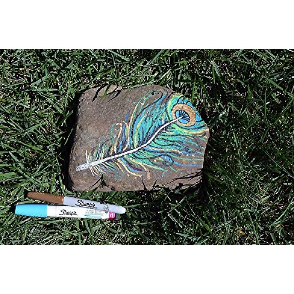 SHARPIE 유성 페인트 마커, 파인 포인트, 다양한 색상, 5개 - 암벽화에 적합