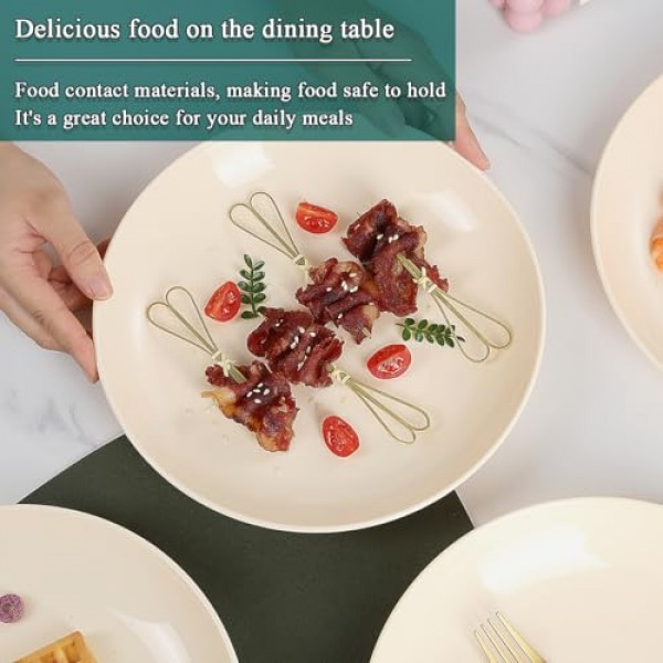 Evanda 플라스틱 접시 8개 세트, 디너 접시 모든 목적 및 모든 연령을 위한 9.5인치 깨지지 않는 재사용 가능한 접시, 전자레인지 안전 BPA 없음 식기세척기 안전(치즈 화