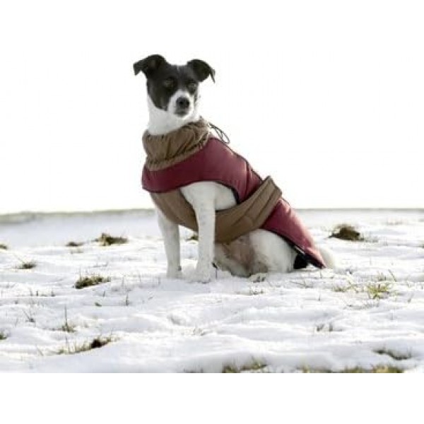 Kerbl 80656 Hundemantel Royal Pets L(45cm)